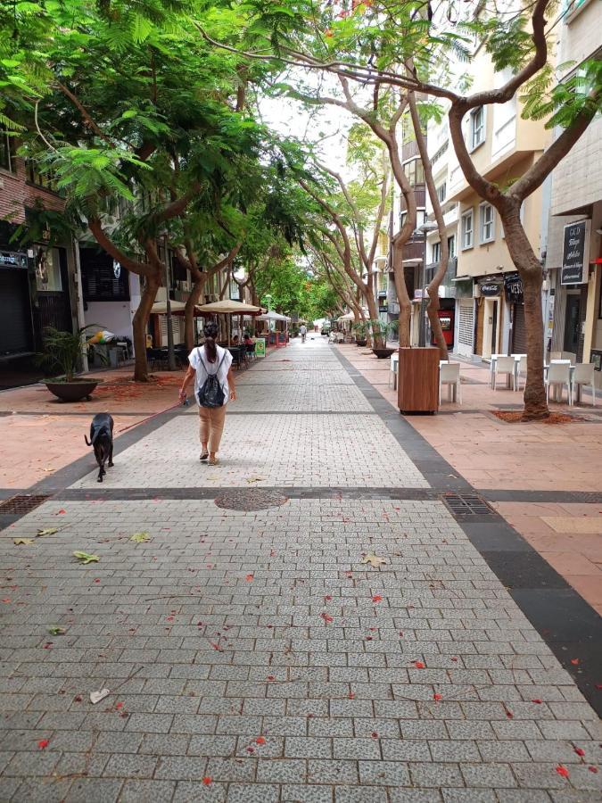 Center Santa Cruz, Alojamiento Centrico Con Gran Terraza, Cocina , Salon Y Banos, Todo Privado Eksteriør billede