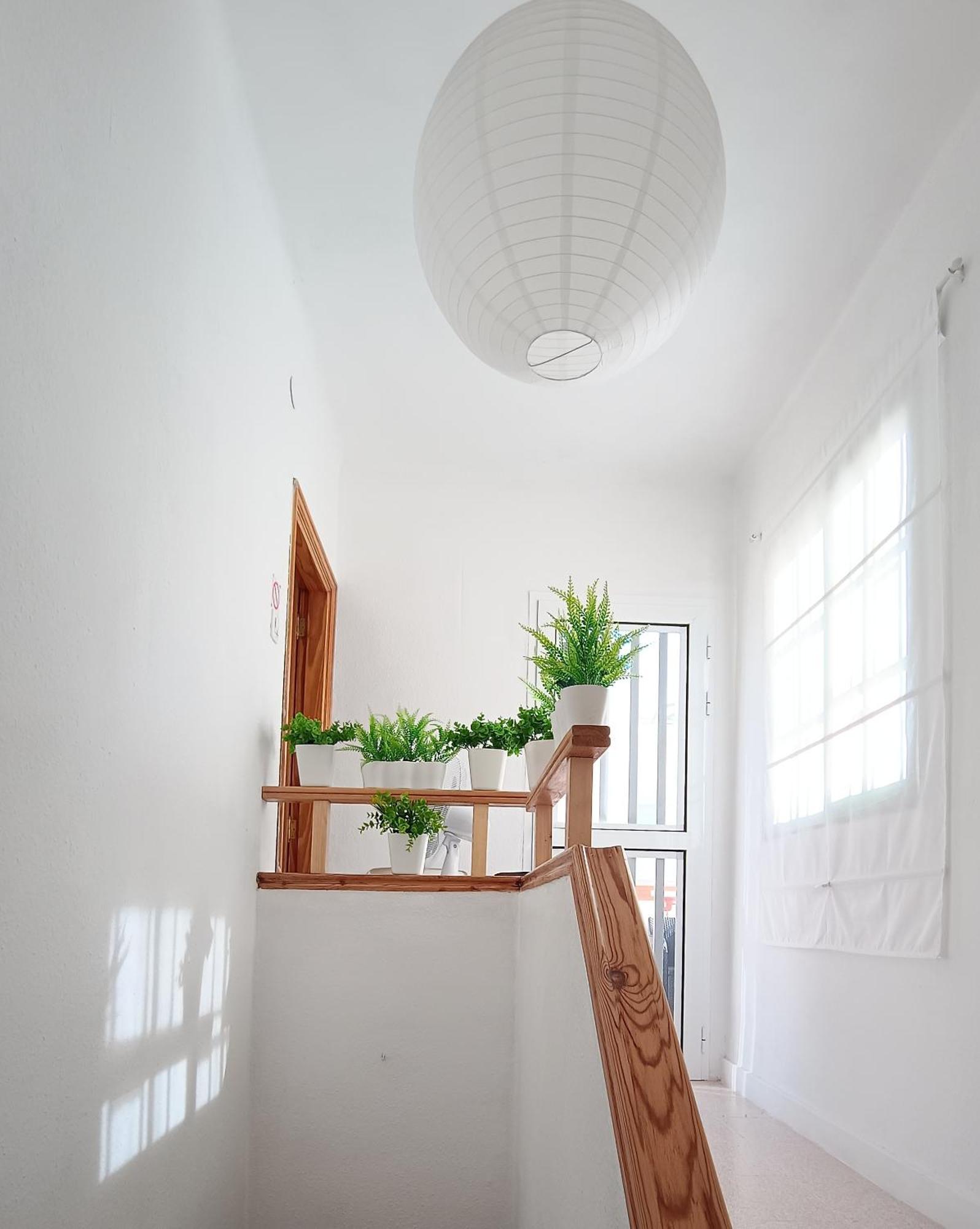 Center Santa Cruz, Alojamiento Centrico Con Gran Terraza, Cocina , Salon Y Banos, Todo Privado Eksteriør billede