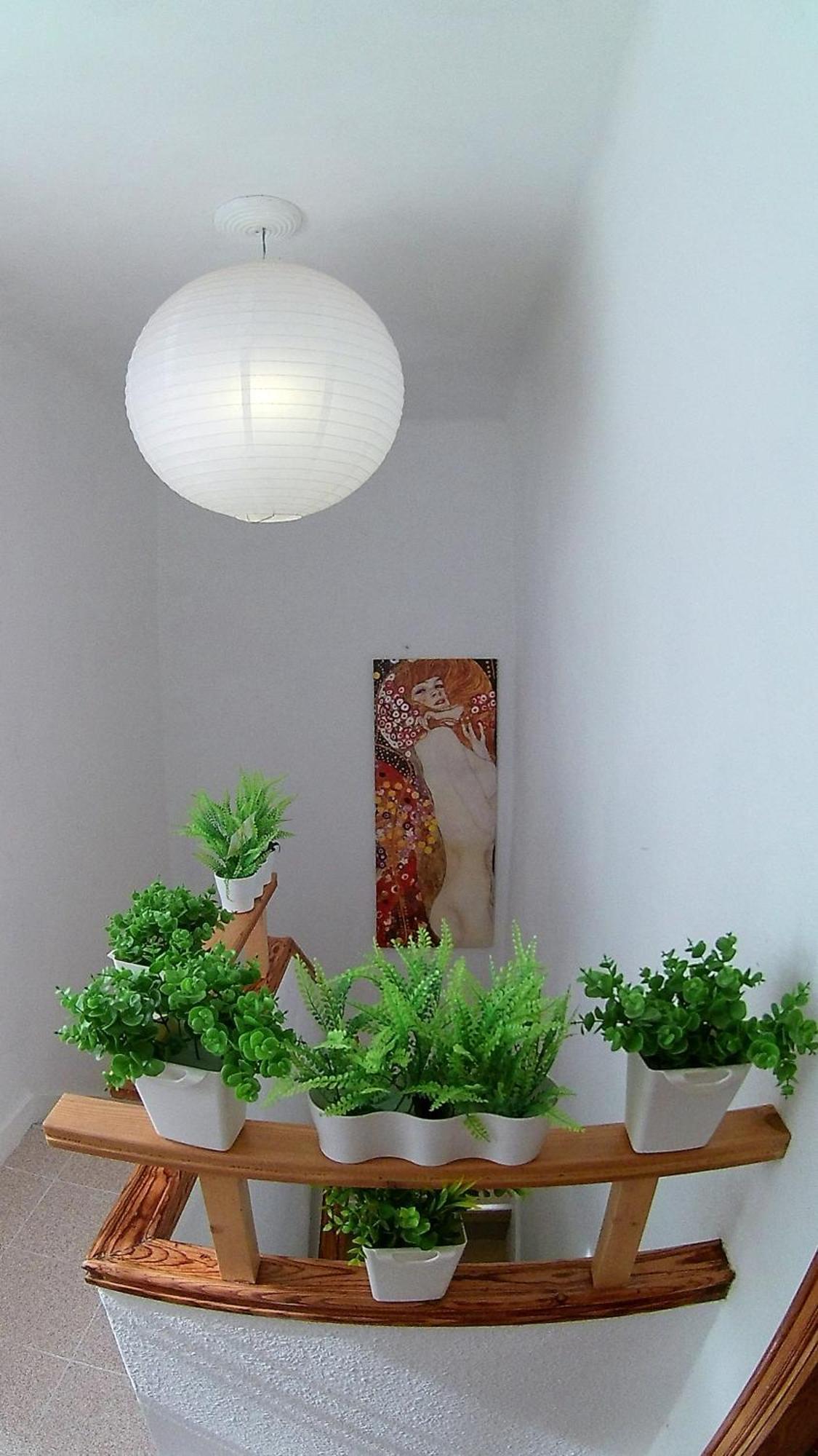 Center Santa Cruz, Alojamiento Centrico Con Gran Terraza, Cocina , Salon Y Banos, Todo Privado Eksteriør billede